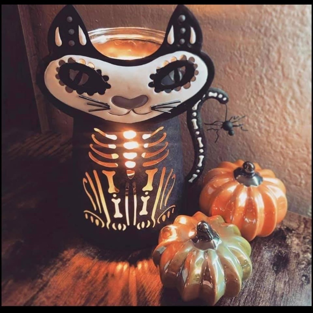 Very Suspicious Wax Warmer